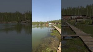 Жер рыбы ода за одной. Рыбалка в Ногинском районе, деревня Аксено-Бутырки, Кинг-Фиш.