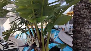 SIDE WELL PALACE, Сиде, Турция - Територията и басейните (Инфотур TEZ TOUR)