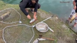 Судак, форель,сазан горная рыбалка с друзьями в Дагестане. Mountain fishing with friends in Dagesta
