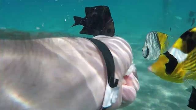 Египет отдых ) смотреть онлайн