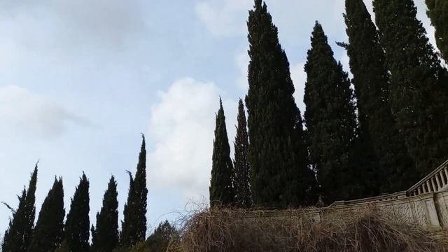 УКРАИНА-РОДИНА САНАТОРИЙ смотреть онлайн