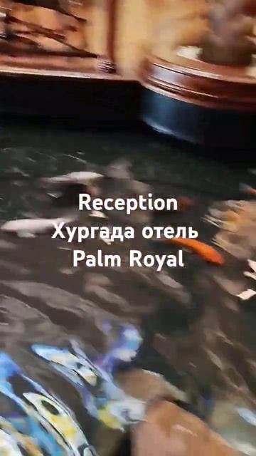 Palm Royal Soma bay отель 5 звезд⭐+ смотреть онлайн