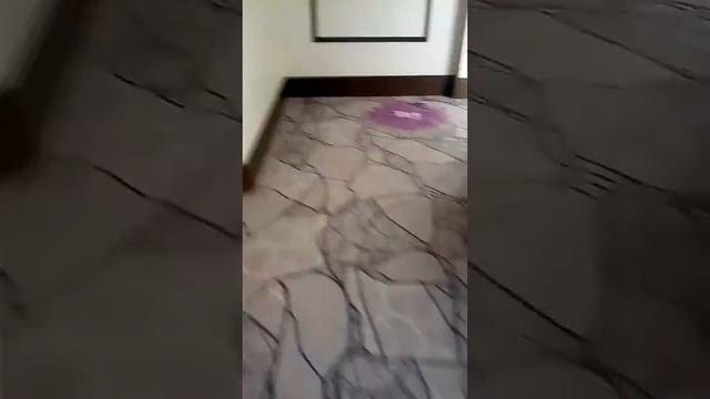 VLOG идём в SPA смотреть онлайн