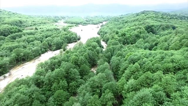 ирс долуш вукх, хьуна чохь вехаш верг "ТЕВЗАНА" смотреть онлайн