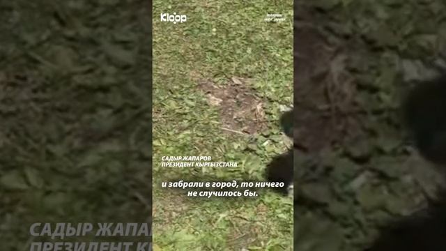 Садыр Жапаров призвал беречь природу Кыргызстана смотреть онлайн