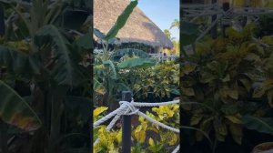 Часть 1. Поездка на Кубу. Обзор отеля Royalton Hicacos