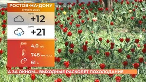 А за окном. 25 апреля 2025