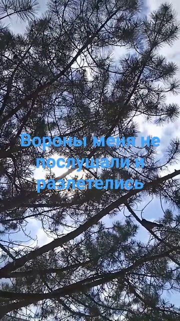 Саки, санаторий им. Бурденко смотреть онлайн