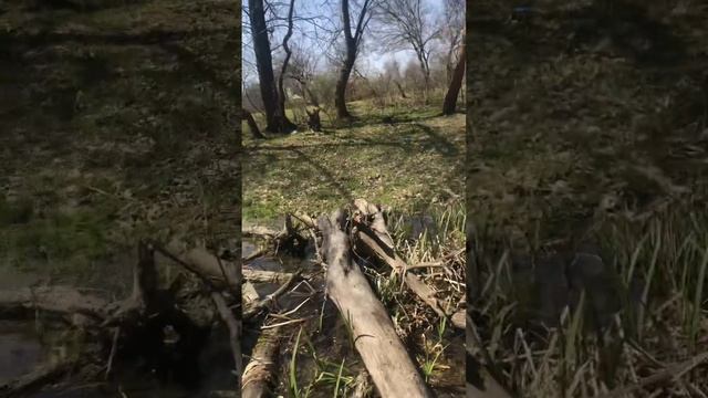 Таьрка Йист смотреть онлайн