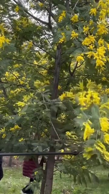 #8марта #абхазия #гагра #riverhotel #еда #море #каньон #рыбалка #hotel #beach #travel смотреть онлайн