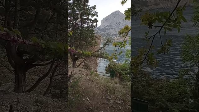 Хозяин Галицынской тропы смотреть онлайн