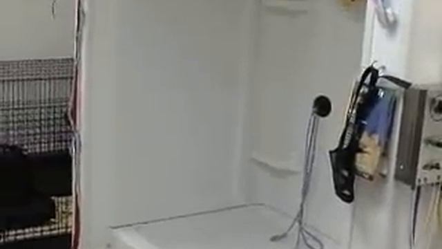 Canine College Video Tour смотреть онлайн