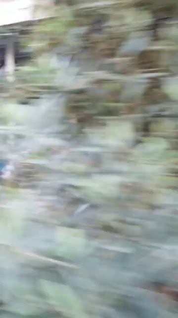 очереди в отеле HEDEF RESORT&SPA #travel #турция2024 смотреть онлайн