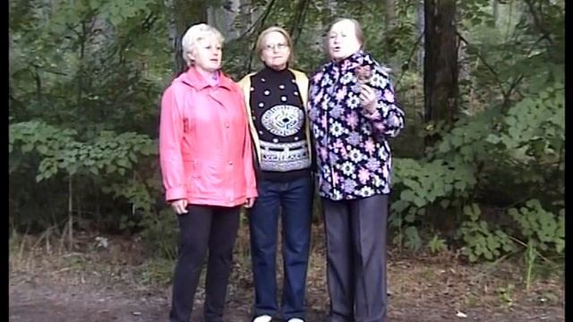 Застольные песни в лесу про рябину. Компания в лесу гуляла.  Трио