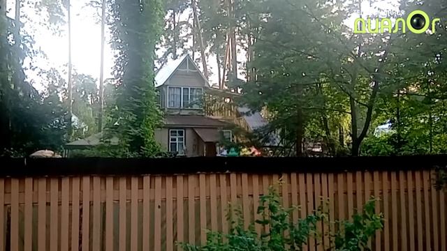 Ильинка, стародачный золотой фонд (Видеоблог Евгения Степанова)