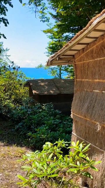 Абхазия, секретная локация. #абхазия #бунгало #travel #отдыхвАбхазии смотреть онлайн