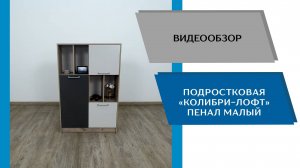 ТЭКС
Видео обзор. Подростковая Колибри - Лофт. Пенал малый.