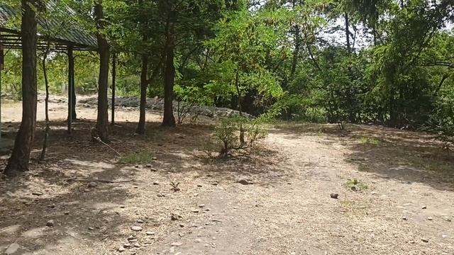 Тогуз Булак эс алуу жайы. 06.07.2022 смотреть онлайн