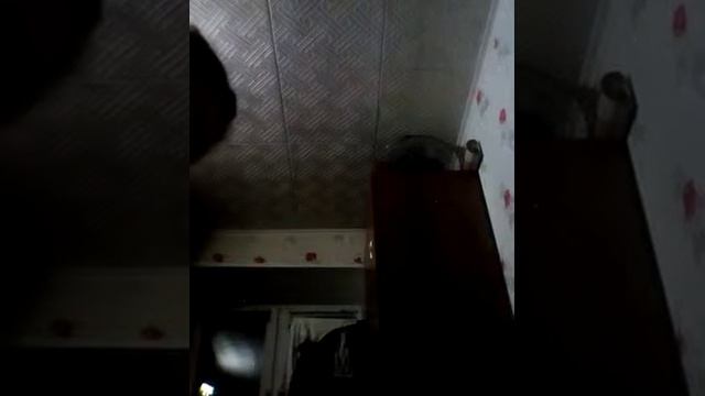 Пранк над подругой я умерла смотреть онлайн