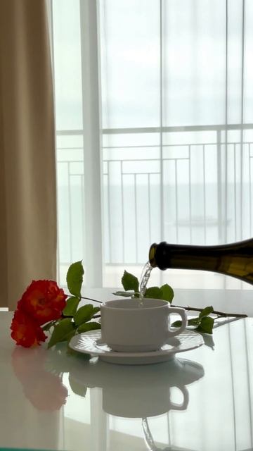 Palmira Winter Wonders - Зимние Чудеса смотреть онлайн