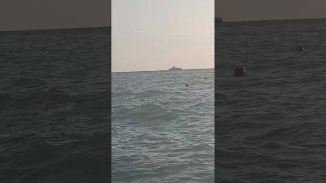 Сочи пляжный комплекс остров смотреть онлайн