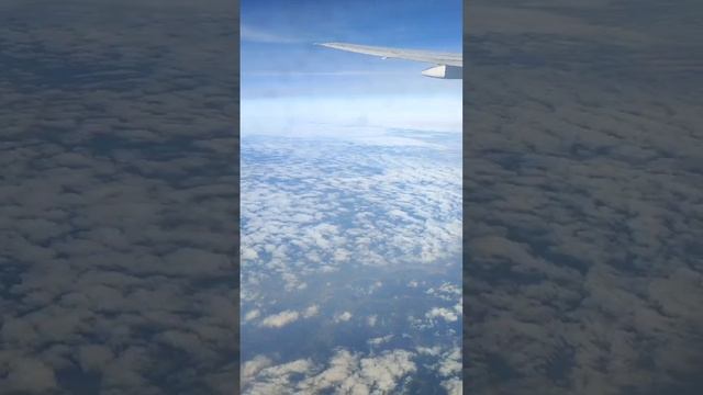Вид с самолета