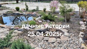 Дачные истории 25.04.2025г. Растения около пруда. Какие растения опасны для сада.