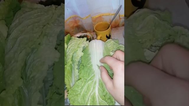 голубцы из пекинской капусты. ваш повар комнатный 🥰 обнял приподнял на место поставил 😍