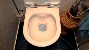 WC Laufen pro rimless lcc test