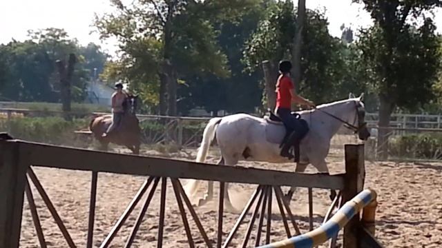 Маша на тренировке 11/08/2013 смотреть онлайн