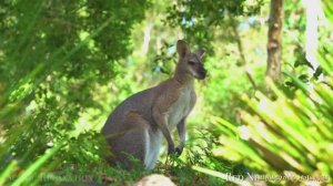 #Islam#Quran#ArRad#Minshawiy#Коран#АрРад#СамыеКрасивыеМеста#Relaxation#4кВидео#5часть#