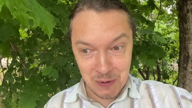 Мужчина в ресторане 3 вариант Леонид Ардо смотреть онлайн