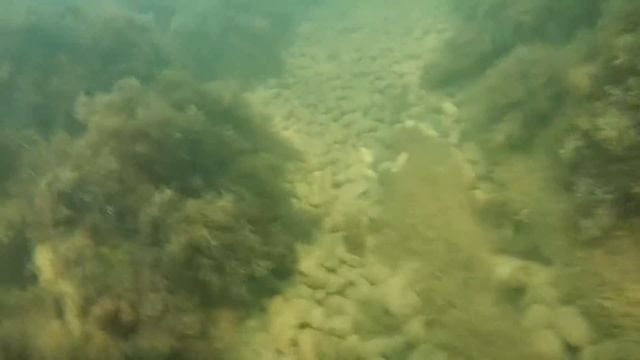 Криница смотреть онлайн