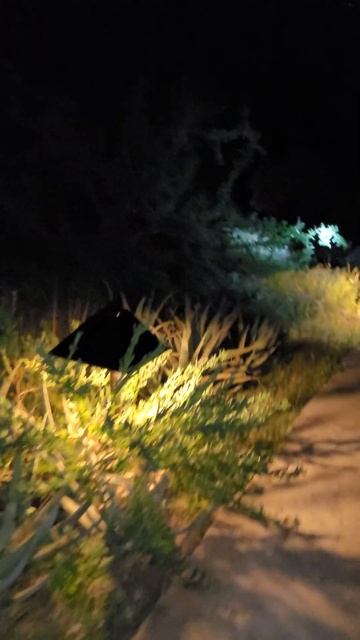 ОПАСНО НОЧЬЮ В ОТЕЛЕ/ОХРАННИК ВЕДЕТ НАС ДОМОЙ смотреть онлайн