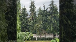 Нальчик. Гостиница Уют. 10.06.2021