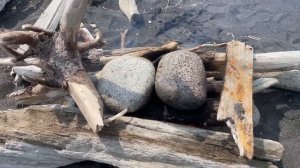 Поездка на заставу Южная. Остров Сахалин.