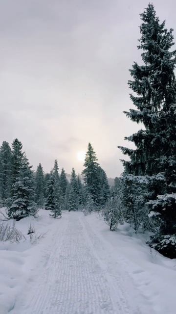 Тироль, Циллерталь, Австрия (Альпы) 🇦🇹 #александрзакшевский