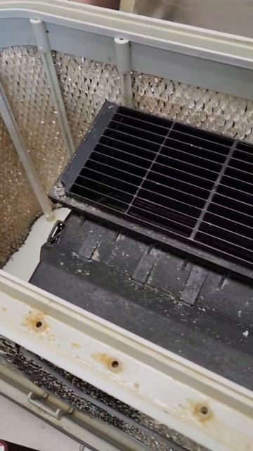 Ремонт увлажнителей BRUNE в Санкт-Петербурге (СПб) и Ленинградской области смотреть онлайн