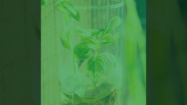 Моменты (Рестораны) смотреть онлайн