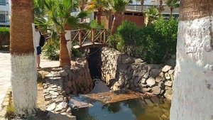 Dreams Beach Resort 5*.(ноябрь 2020) От ресепшн к номеру.