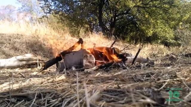 10-5 minutes of watching: Bonfire / Костер