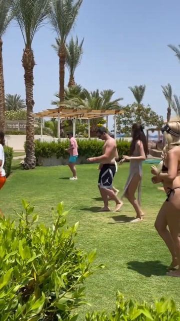 Egypt 2022. Hotel Albatros Royal Grand. Sharm el Sheikh. Египет. Шарм эль Шейх смотреть онлайн