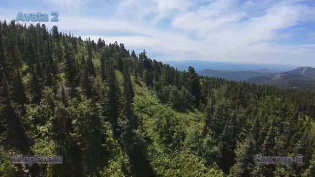 Шерегеш гора Зеленая глазами птиц | Лето смотреть онлайн