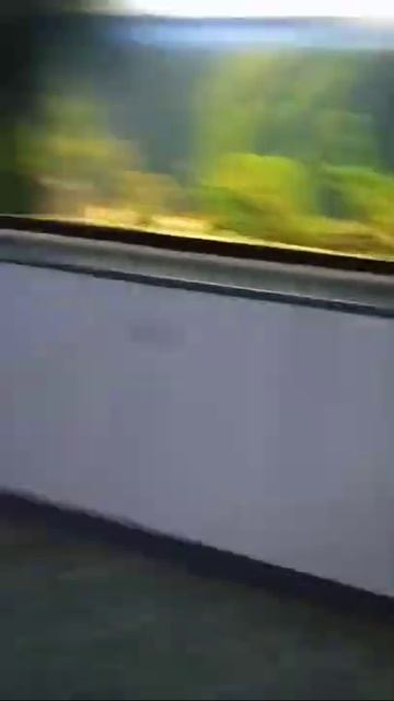 обзор бювета санаторий Рассвет-Любань январь 2022 смотреть онлайн