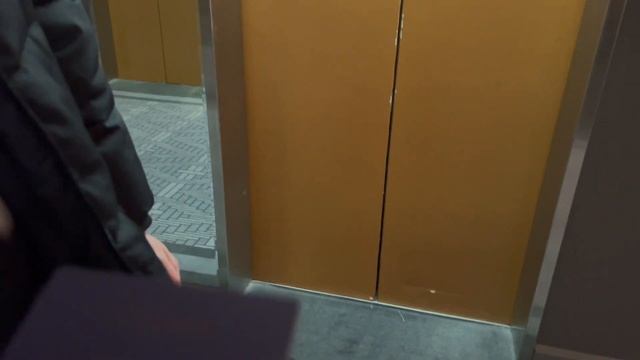 VLOG // Роскошный отдых в отеле // Гуляем по Миннеаполису // Обсуждаем американский фастфуд смотреть онлайн