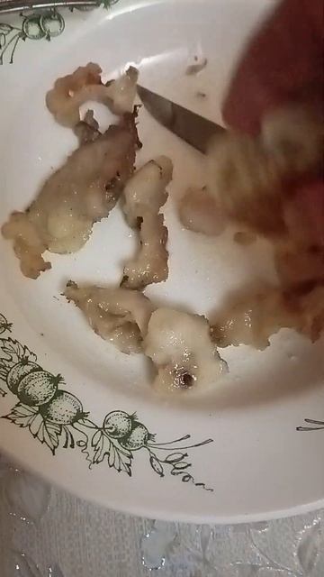 1 января 2024 г. смотреть онлайн