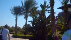 Египет. Sharm Grand Plaza Resort 5*