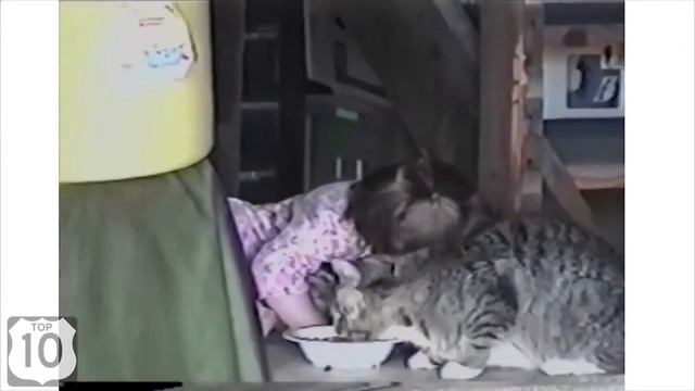 СМЕШНЫЕ ДЕТИ и КОШКИ ! Funny kids and a cat!