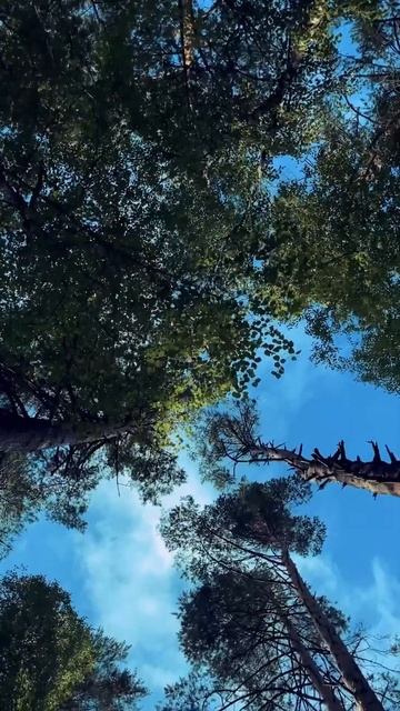 АКЦИЯ«5 будних дней по цене 3»,коттедж стандарт всего за 19500!Заезд в понедельник утром!8921949300 смотреть онлайн