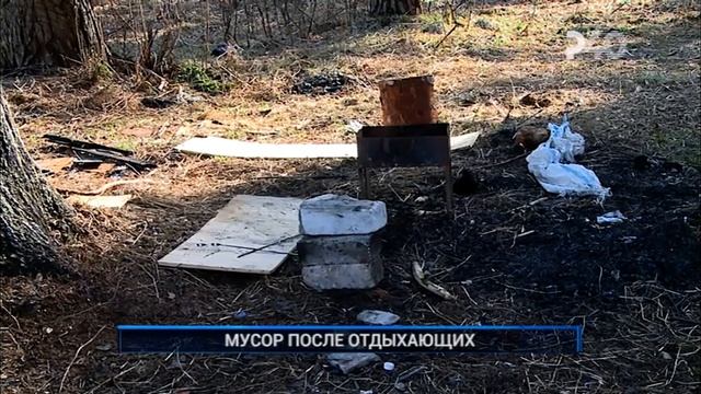 МУСОР ПОСЛЕ ОТДЫХАЮЩИХ смотреть онлайн